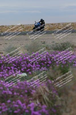 media/Jan-14-2023-SoCal Trackdays (Sat) [[497694156f]]/Turn 14 Exit Bloomig (145pm)/